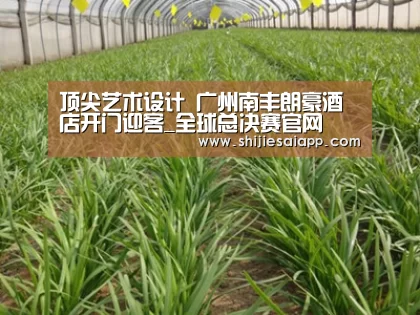 全球总决赛官网