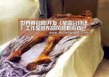 全球总决赛官网
