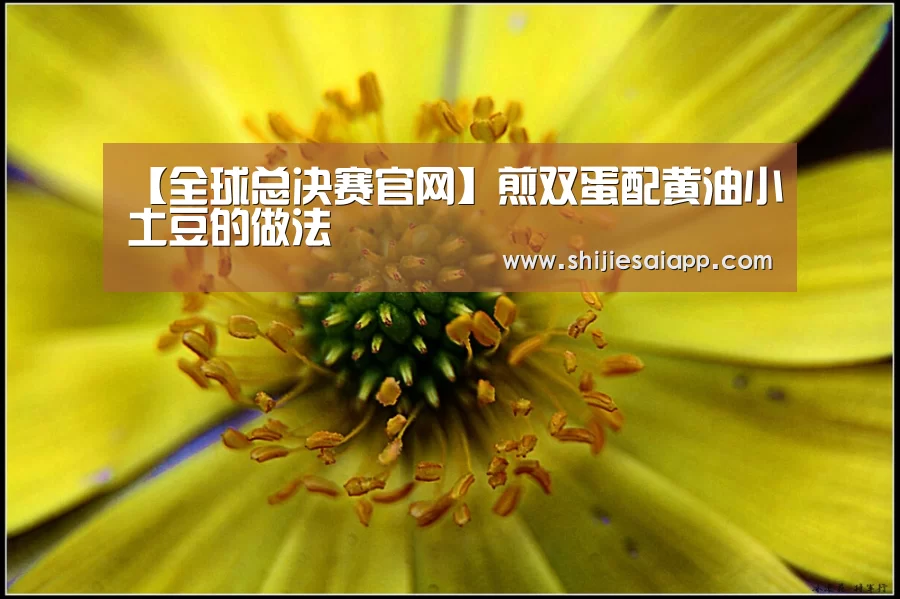 全球总决赛官网