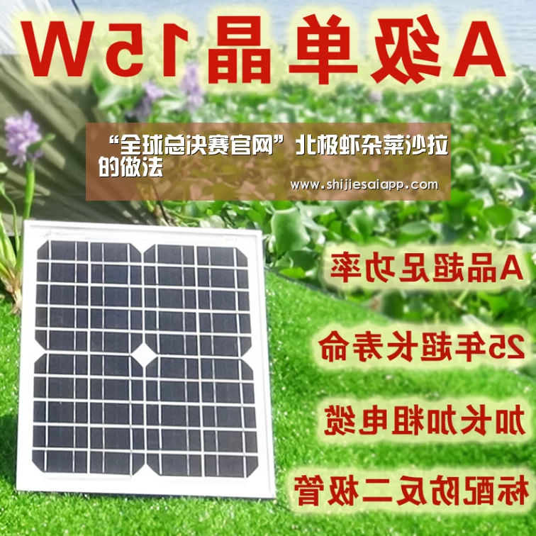 全球总决赛官网