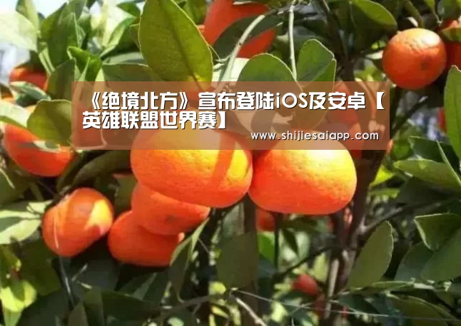 世界赛官网