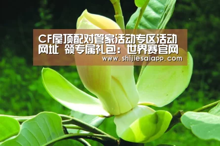 世界赛官网